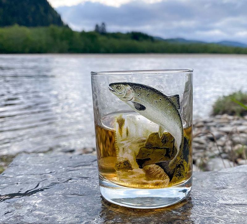 Whiskyglass, laks