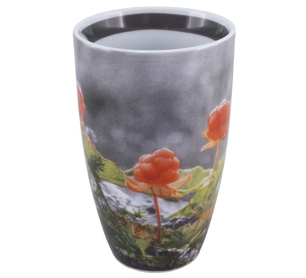 Hovedbilde Krus nr. 19 Multe, Pryd