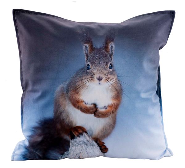 Hovedbilde Velourpute, Ekorn