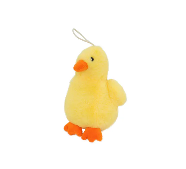 Main Image Yellow chick
