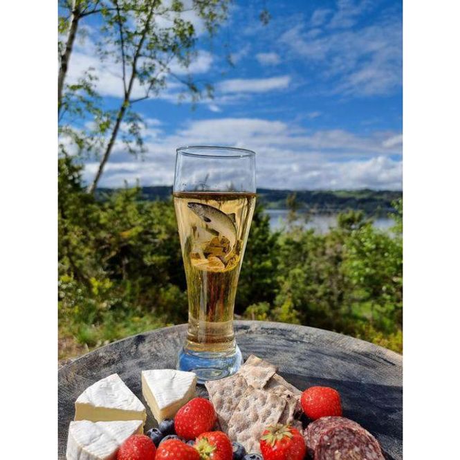 Main Image Beer glass Salmon