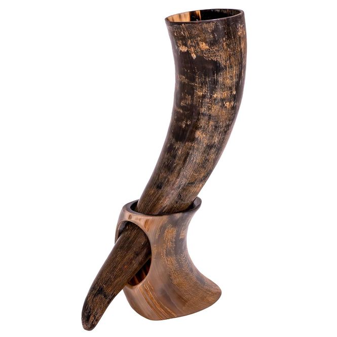 Hovedbilde Vikinghorn med holder