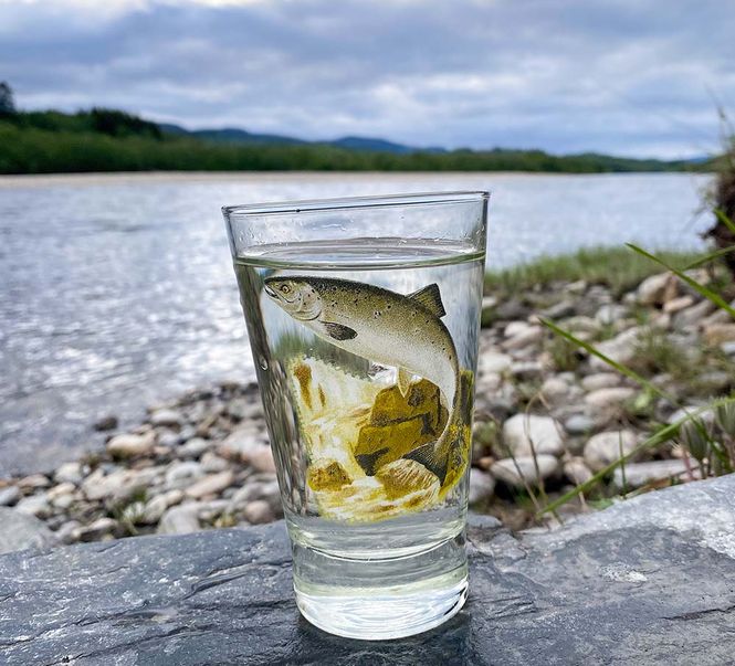 Main Image Water glass, salmon