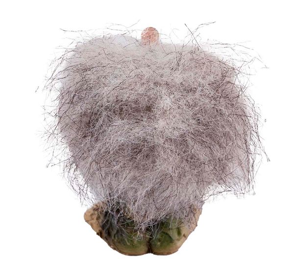 Main Image Proud fishing troll (Troll #131)