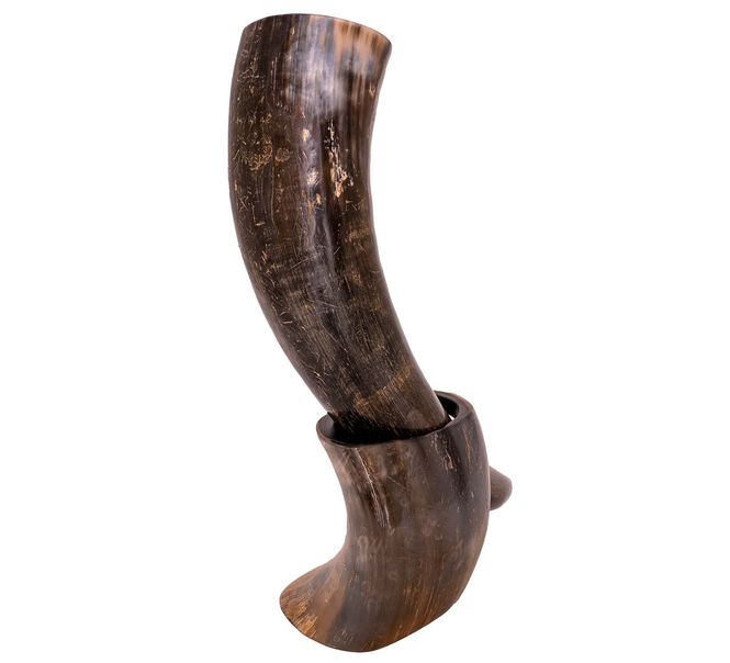 Hovedbilde Vikinghorn med holder