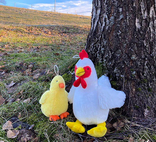Main Image White hen