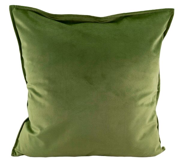 Main Image Throw pillow, The Bullfinch