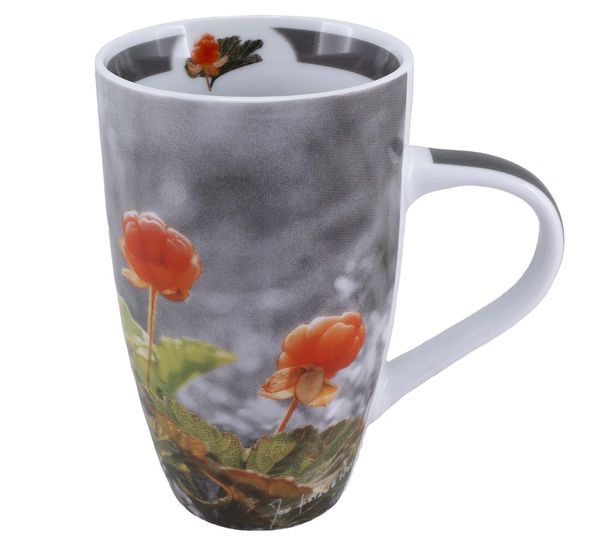 Hovedbilde Krus nr. 19 Multe, Pryd