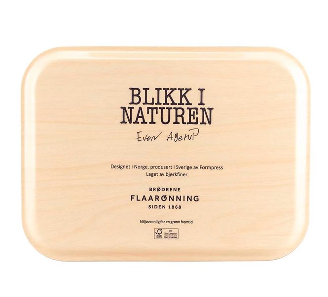 Main Image Birch veneer tray, Squirrel, Looks in Nature